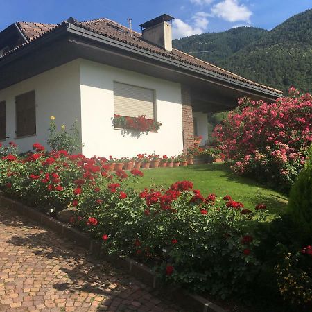 Weingut Zundlhof Villa Bolzano Bagian luar foto