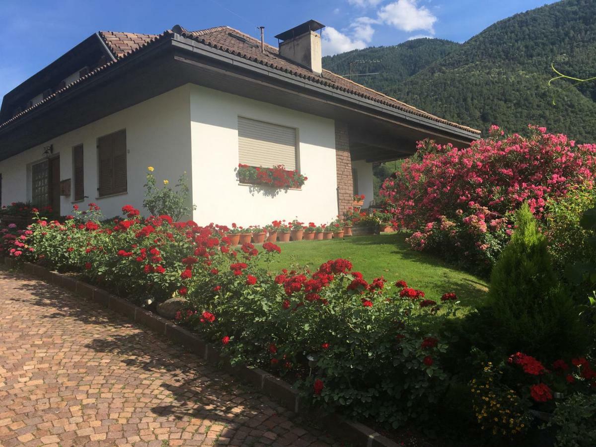 Weingut Zundlhof Villa Bolzano Bagian luar foto